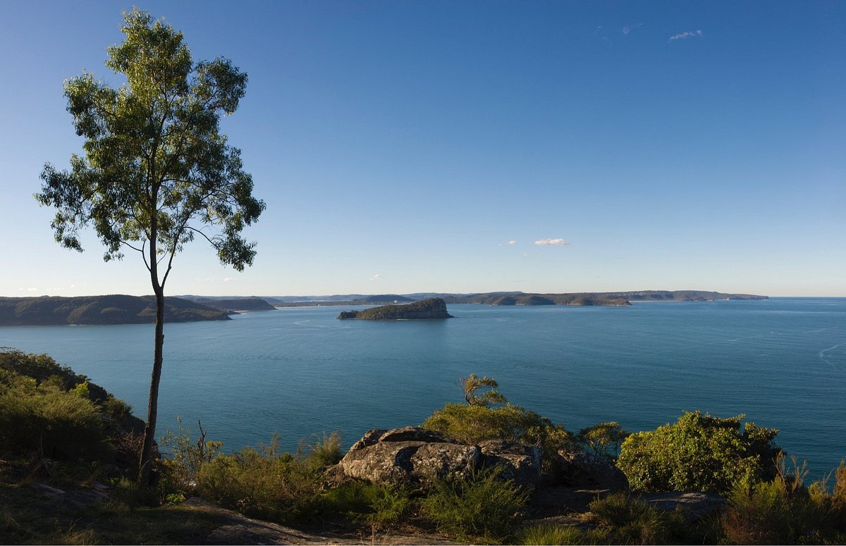 Lion Island seen across Broken Bay