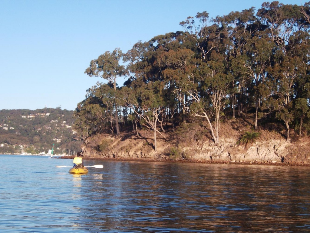 Bushland shoreline of Morning Bay, Pittwater